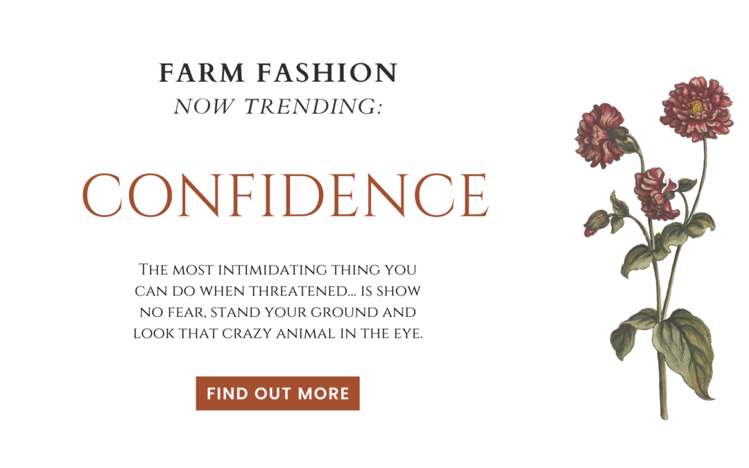 Farm Fashion: Confidence